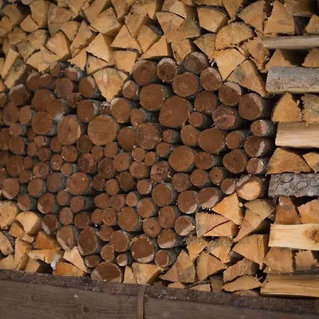 In Het Bio-houten 